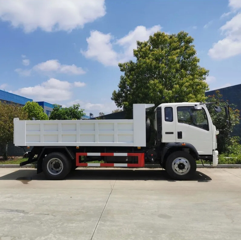 LHD/Rhd Dump Truck HOWO China Special Truck 4X2 10tons Tipper Truck for Sale - 图片 2
